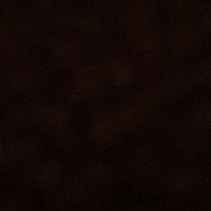 Meet your Posher, Oscar